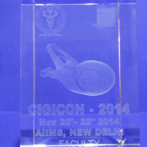 Award Cigicon 2014 All India Institute Medical Sciences Ms. Neevita Narayan